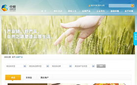 專業(yè)網(wǎng)站建設(shè)與設(shè)計(jì)服務(wù) 北京鴻睿思博科技的全面解決方案